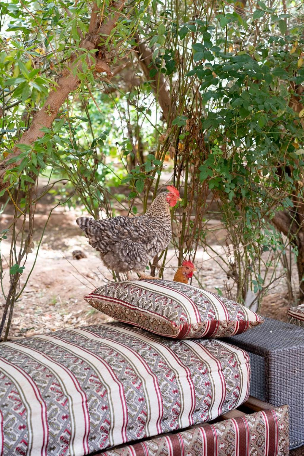 La Ferme Des Tipis Marrakech Tente de luxe