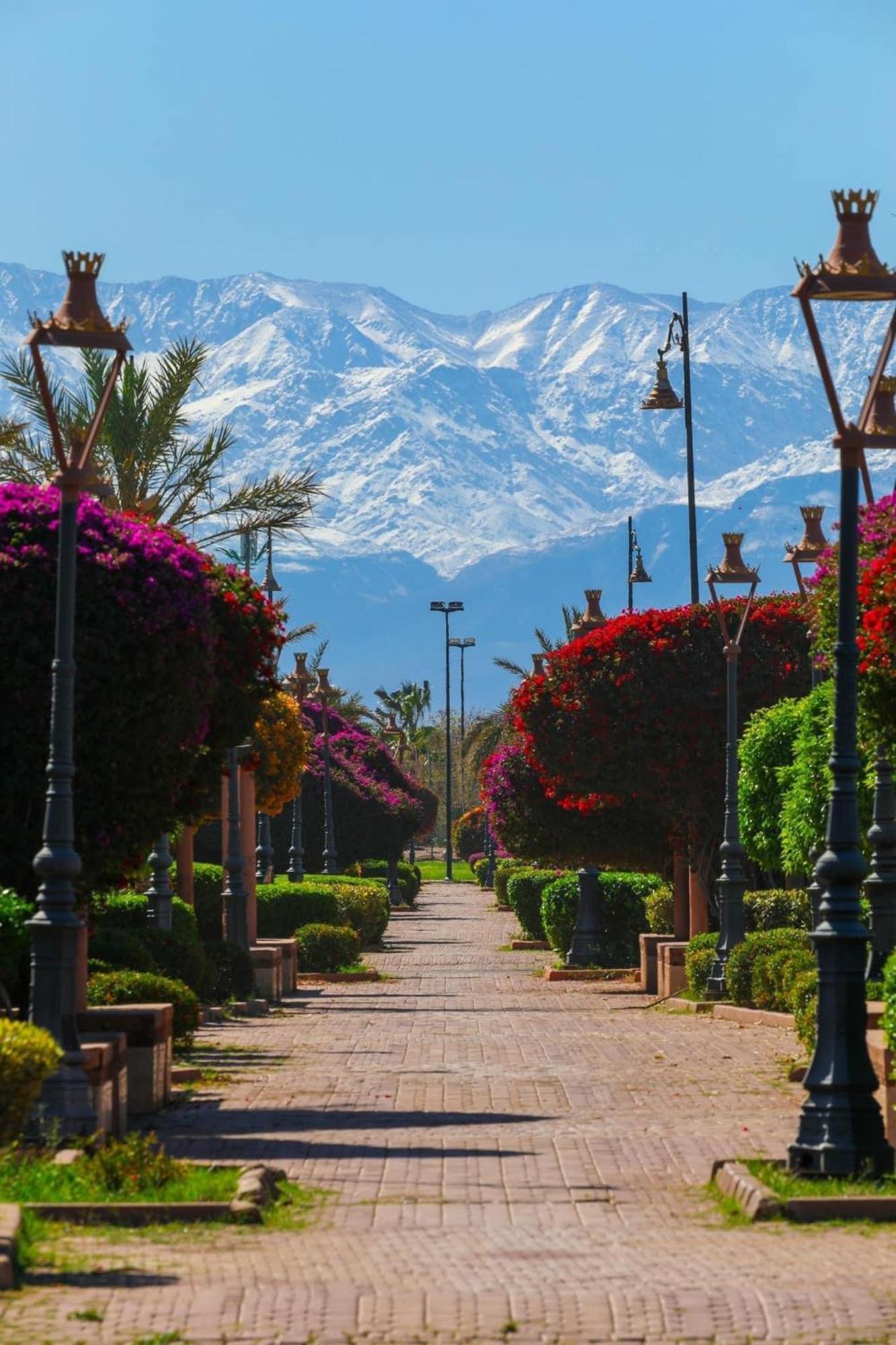 Appartement Majestic Marrakech *