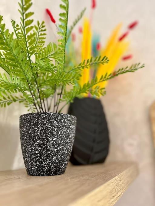 Yumo: The Cozy One Apartamento Marrakesh
