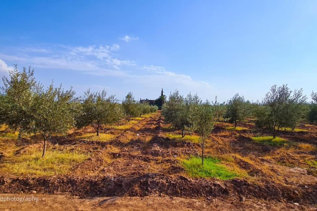 Tifira Villa Marrakesch