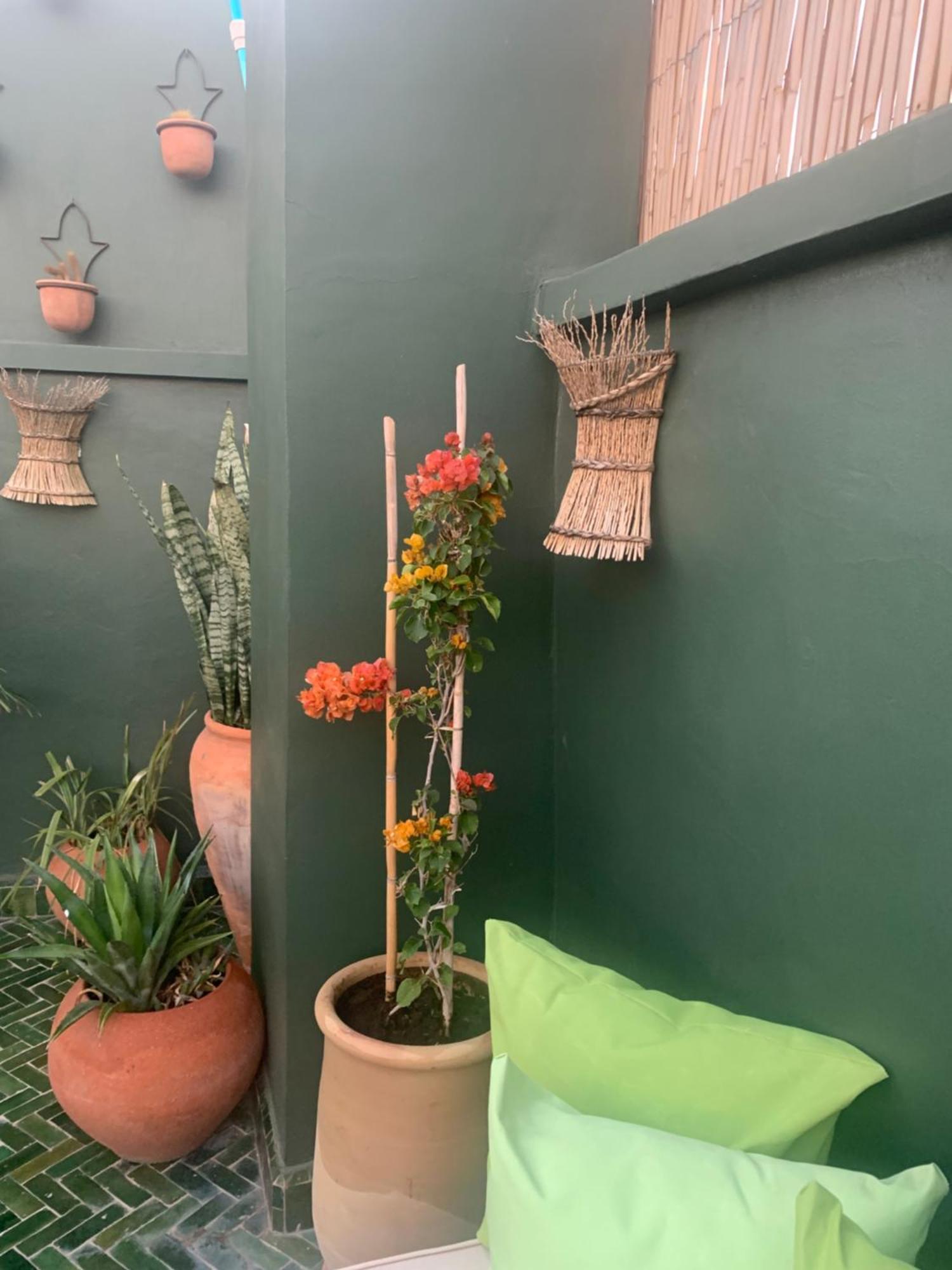 Riad Riad Olive Privatif 4 Personnes Marrakesh