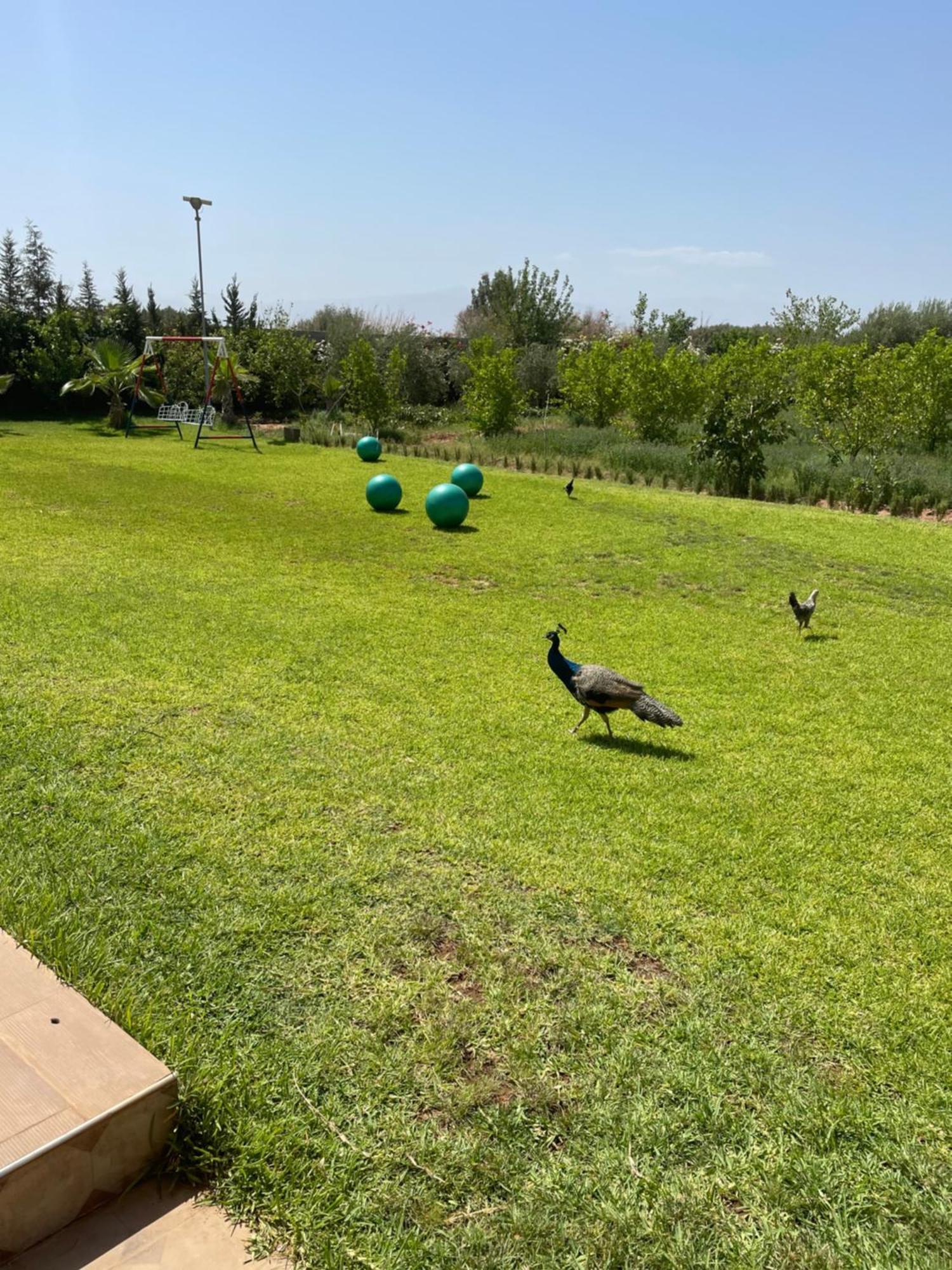 Atlas Farm Strictement Pour Les Familles * Marrakesh