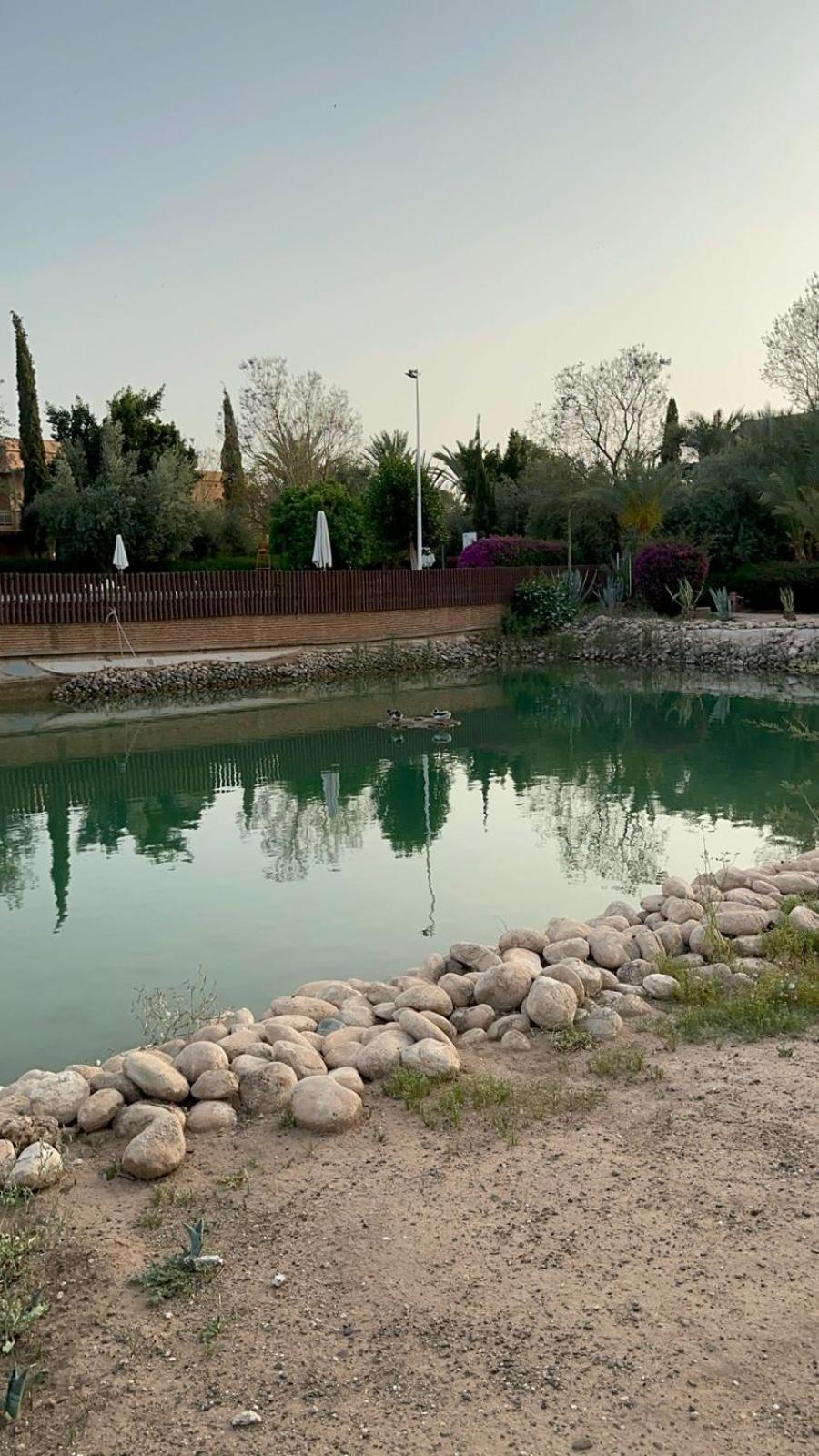 Les Jardins De La Palmeraie Ii