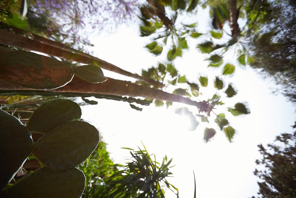 Guest house Dar Ayniwen Garden & Bird Zoo