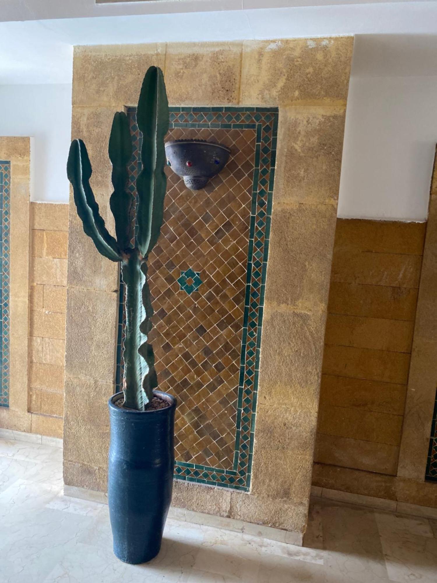 Apartment Caprice Palace Hivernage *
