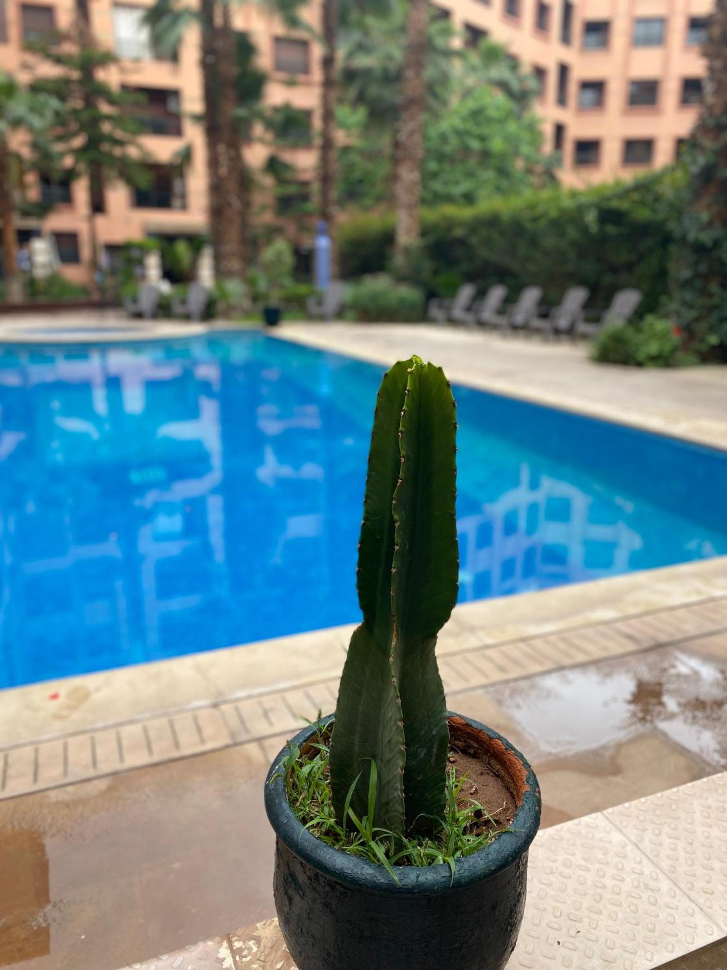 Apartment Caprice Palace Hivernage Marrakesh