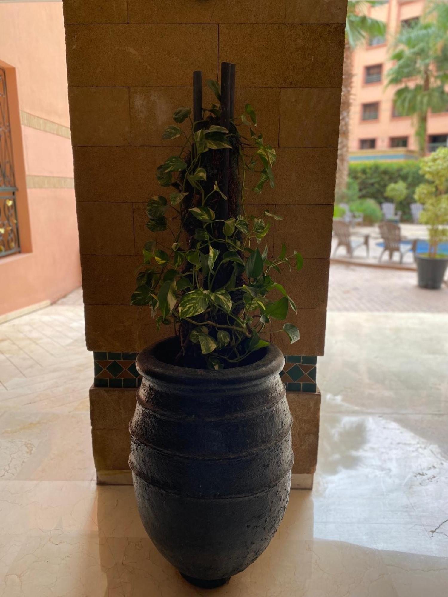 Caprice Palace Hivernage Apartment Marrakesh