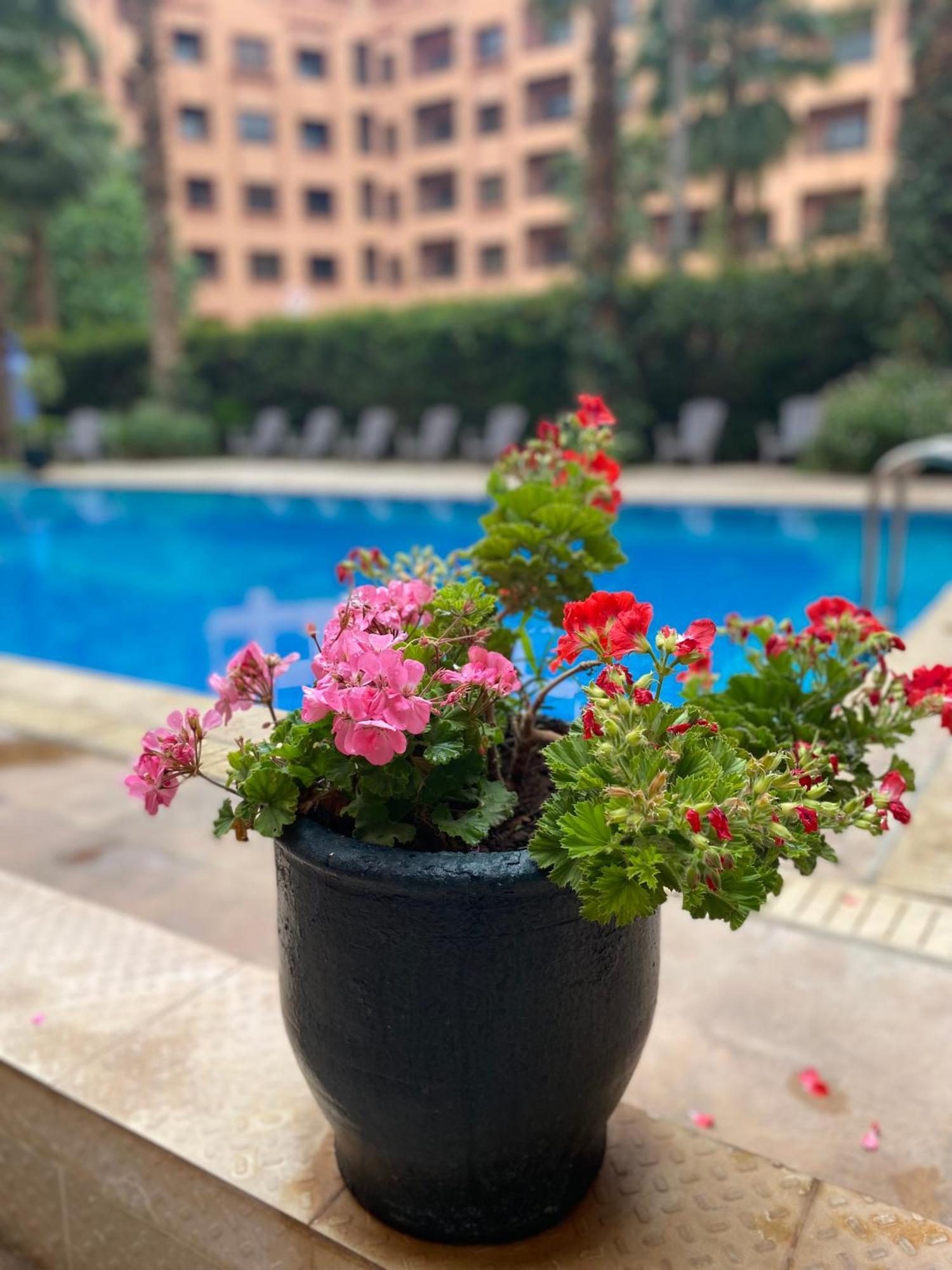 Apartment Caprice Palace Hivernage Marrakesh