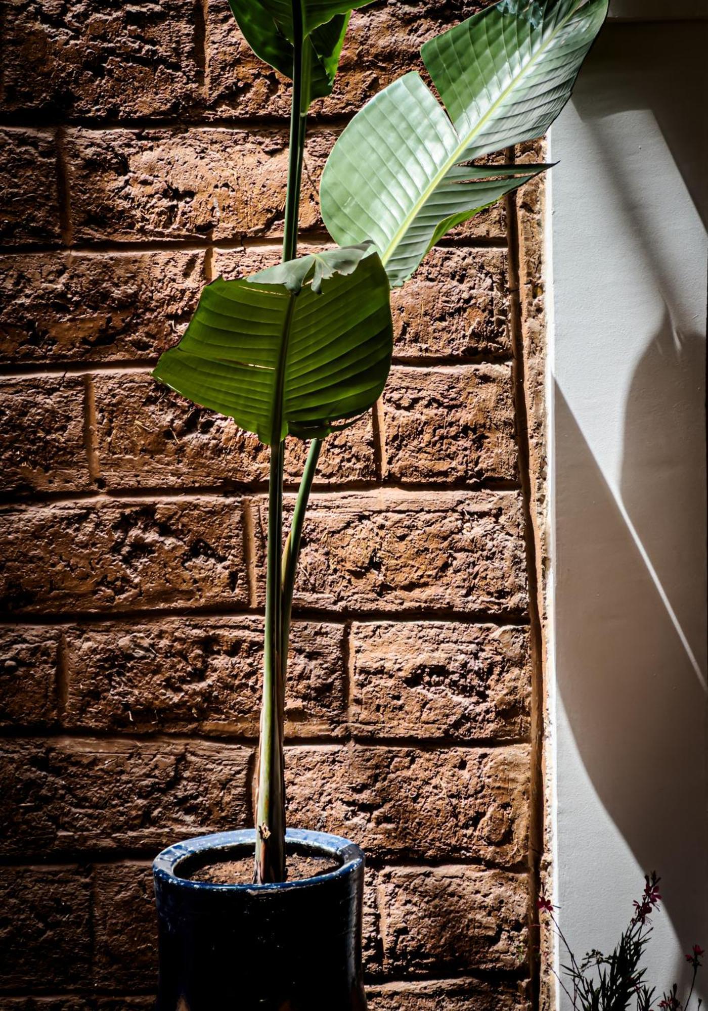 & Prive - La Perle D'orane - Marrakech Riad Marrakesh