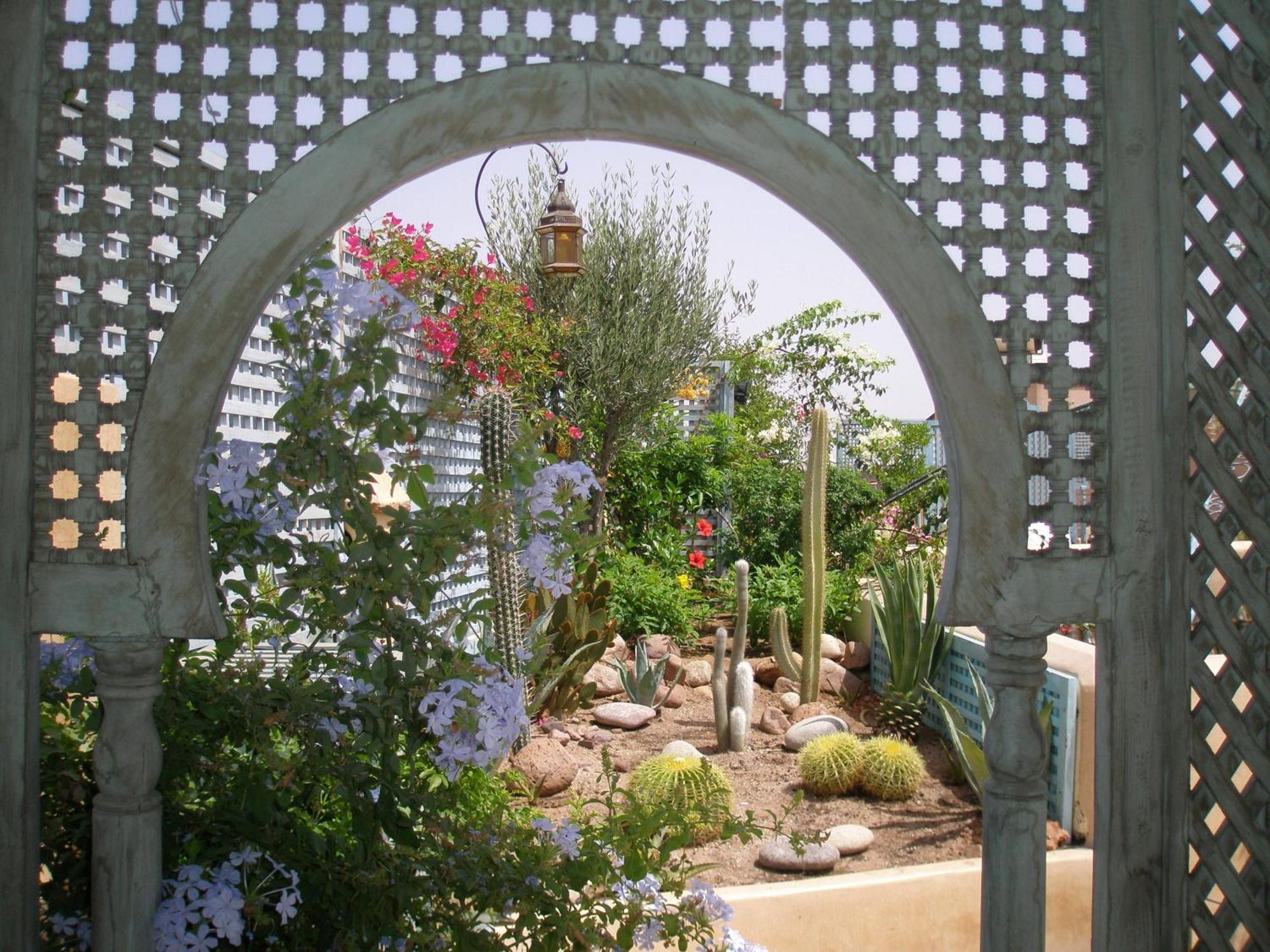 Armelle Marrakesh