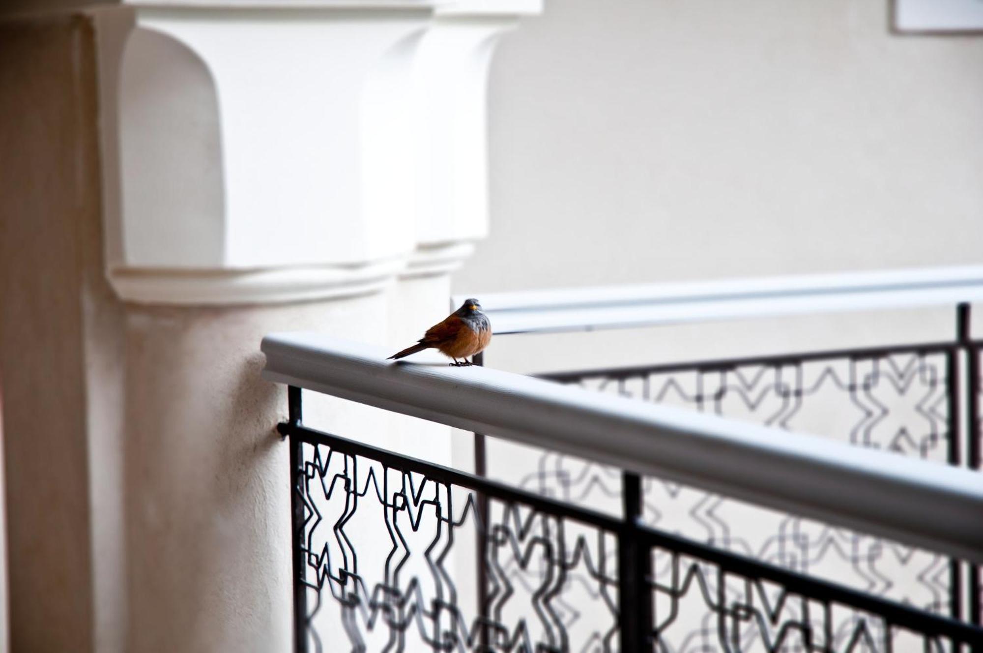 Riad Riad Nashira & Spa Marrakesh