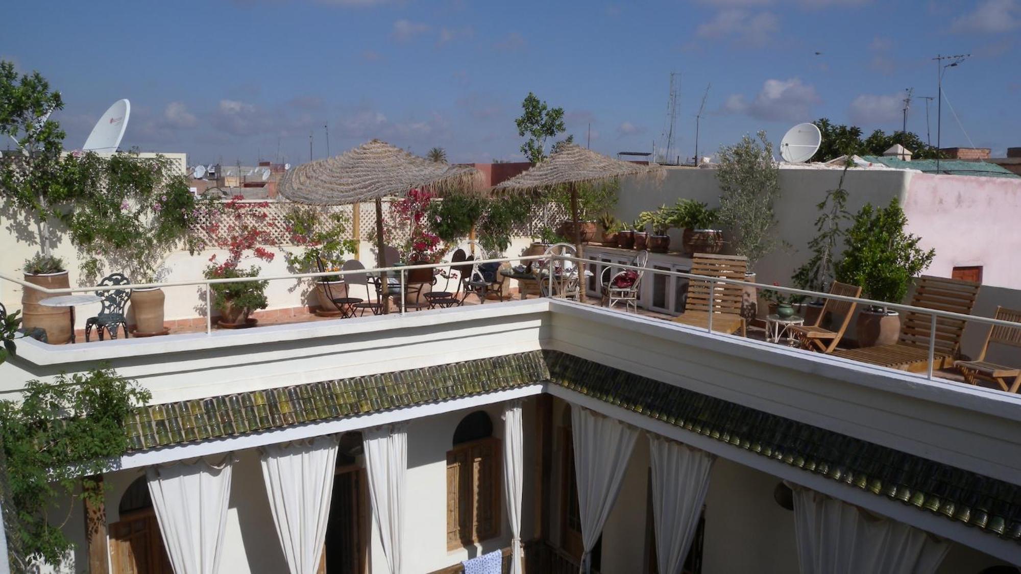 Le Coq Berbere Marrakesh