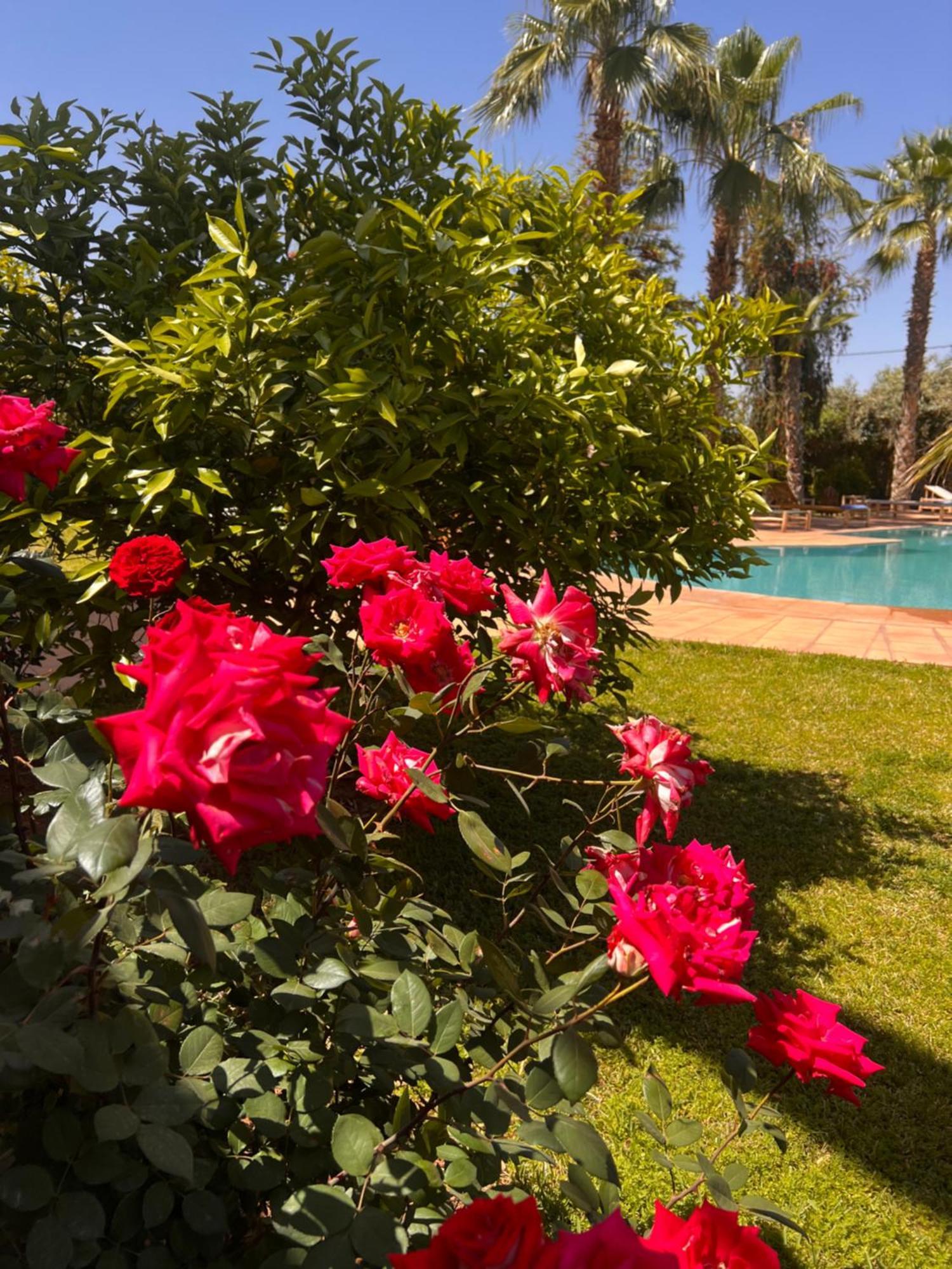 Maison d'hôtes Dar Hadjar *