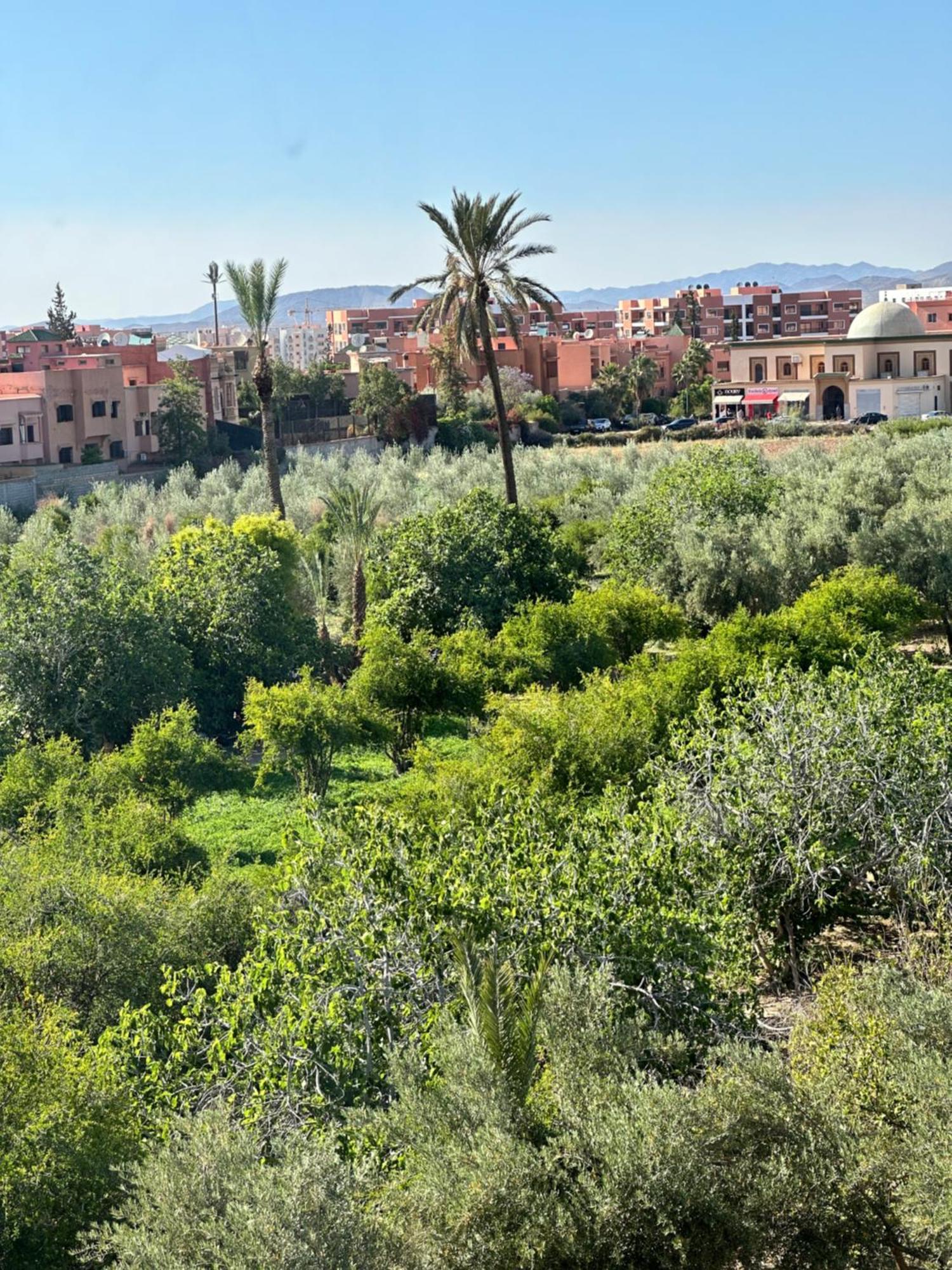 Zazat Marrakesh