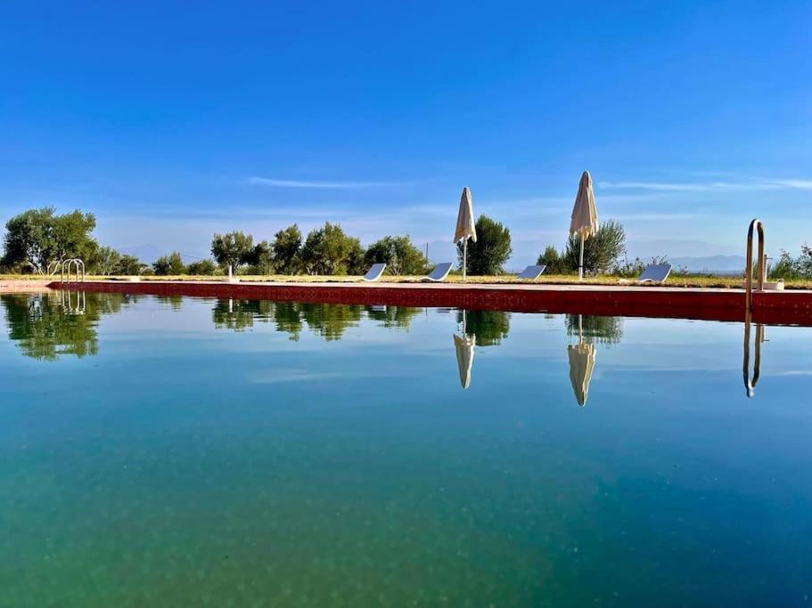 Oliveraie Prestige - 50 Hectares Prives