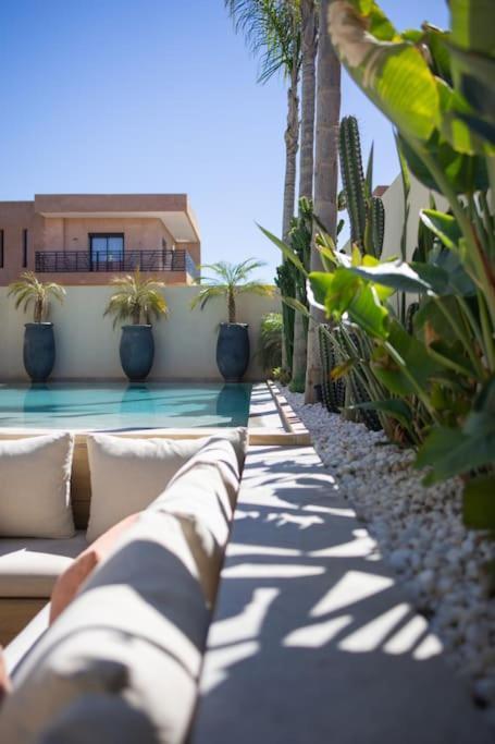Ayani Marrakesh