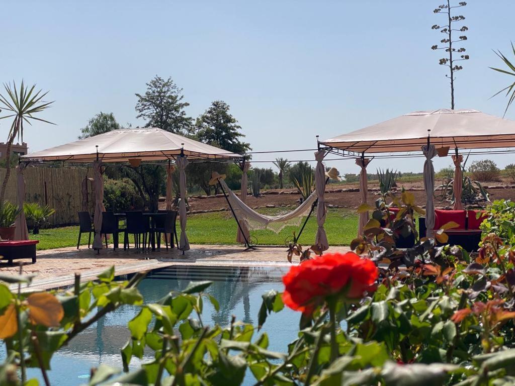Dream Marrakesh