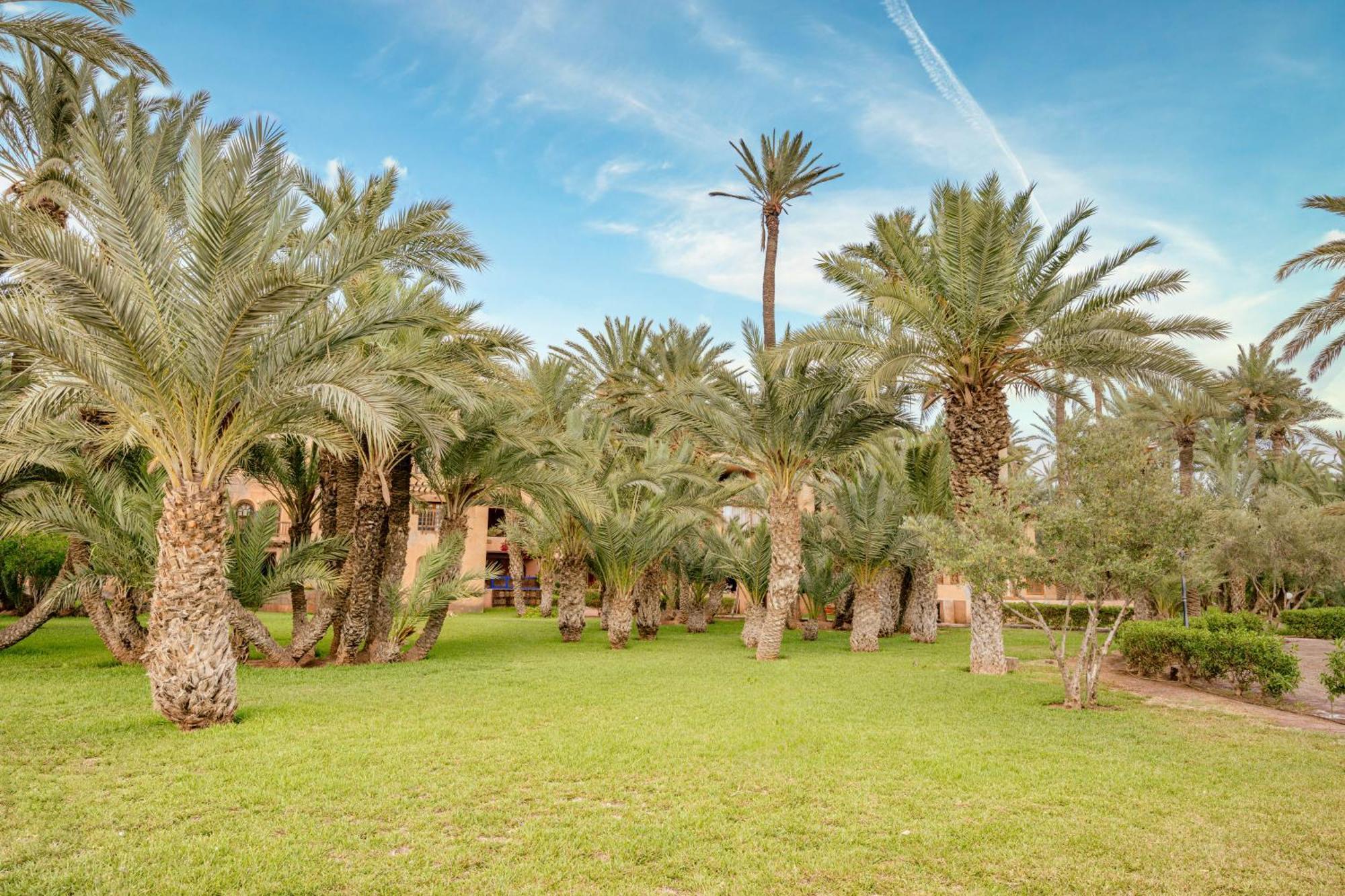 Oasis In The Heart Of Marrakech Appartement