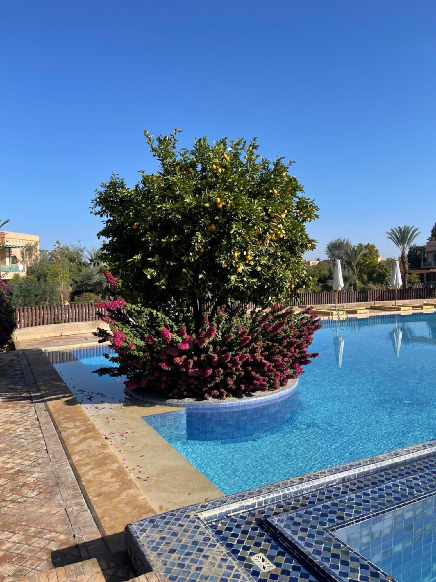 Au Coeur De La Palmeraie De Marrakech Appartement Marrakesh