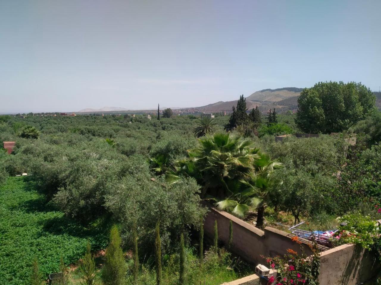 Villa Marrakech Olive Haven *