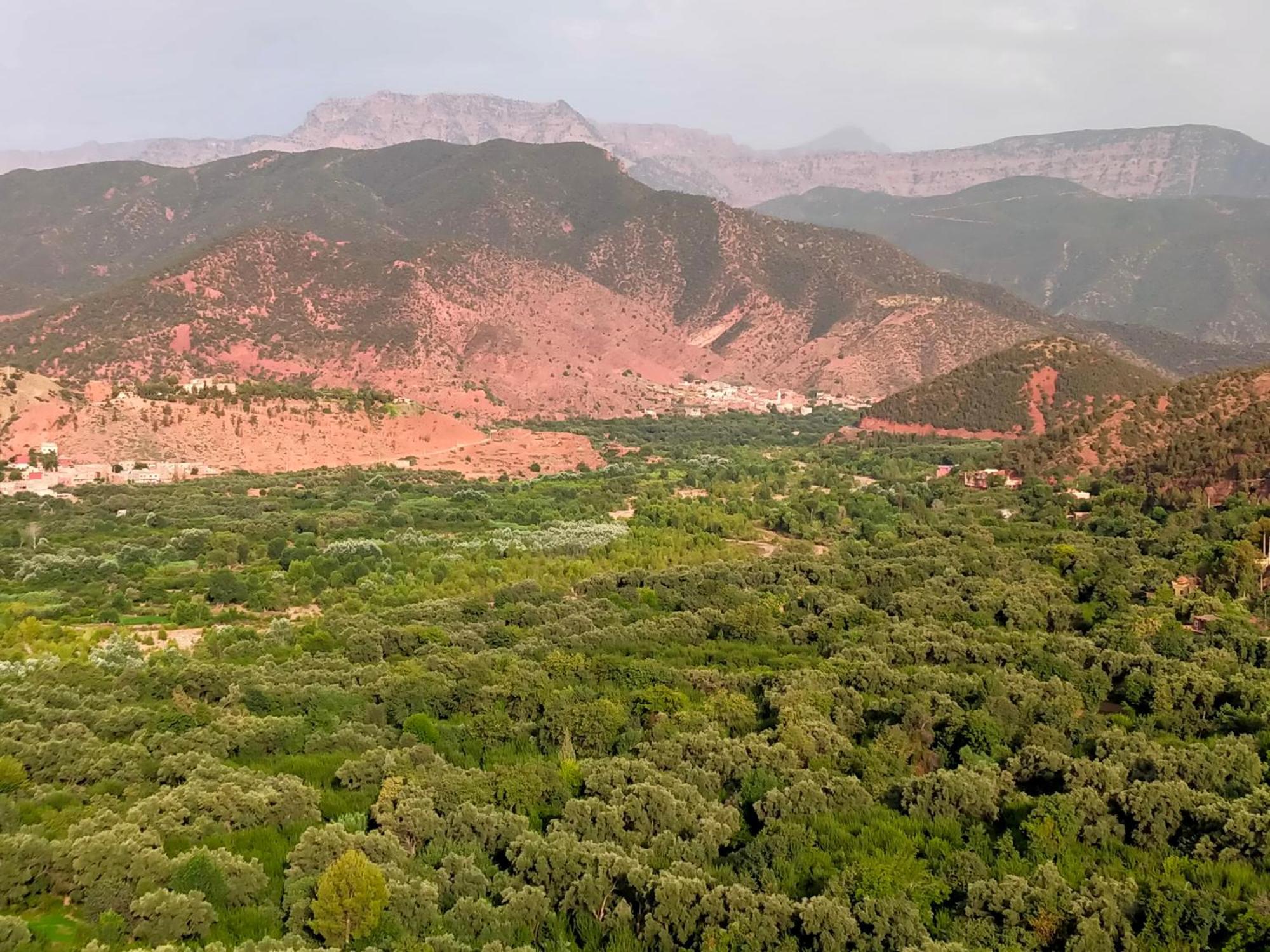 Marrakech Olive Haven Villa Marrakesh