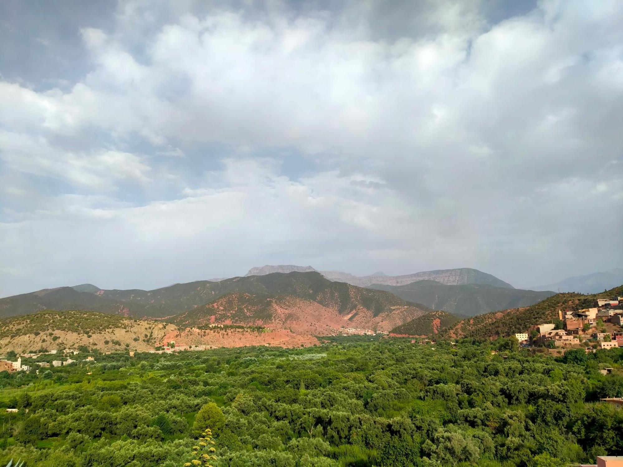 Marrakech Olive Haven *