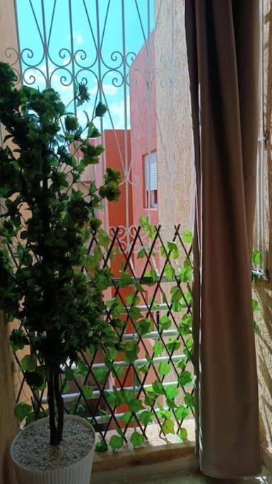 في * Marrakesh