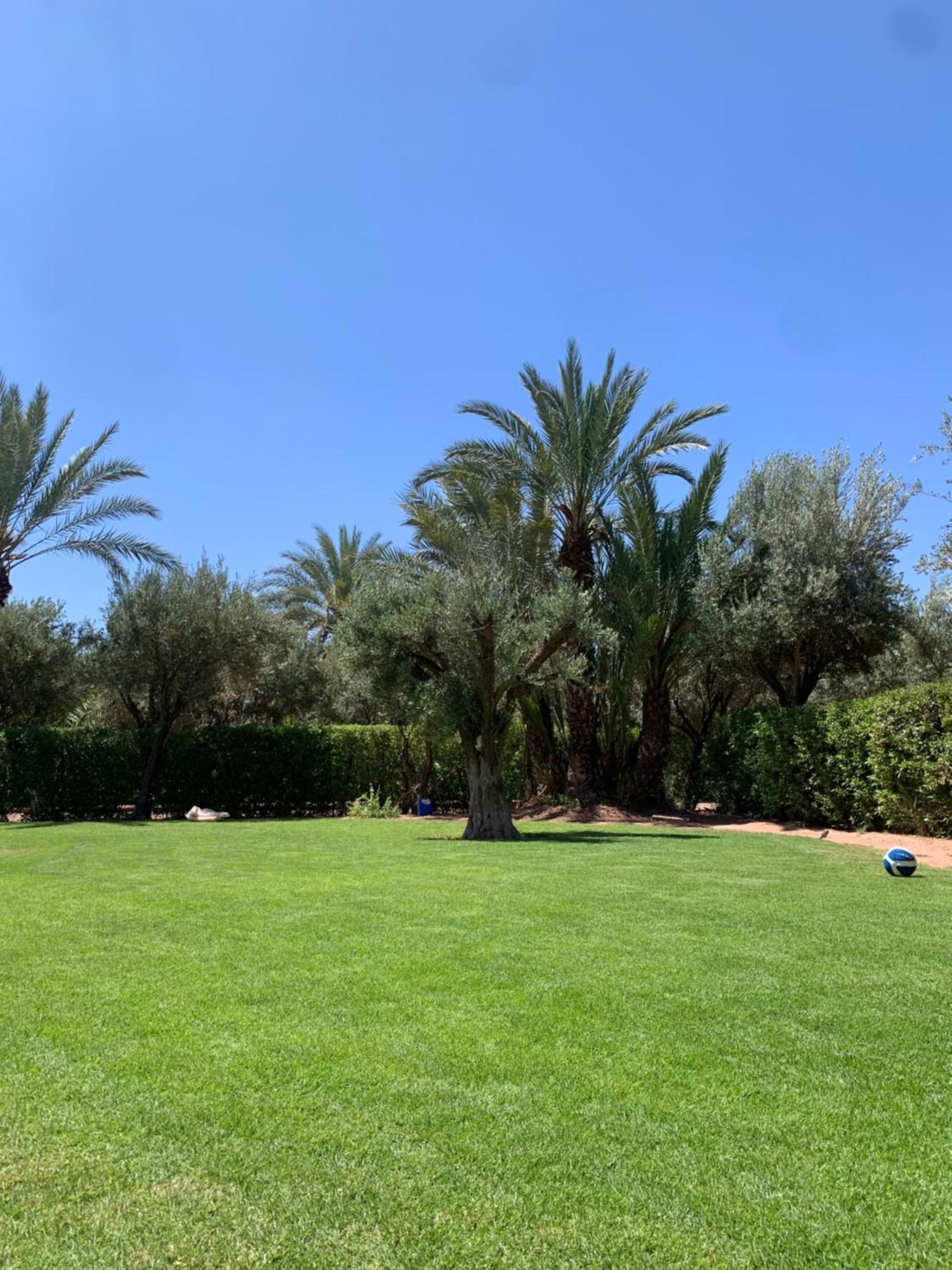 Avec Piscine Privatisee A La Palmeraie Villa *
