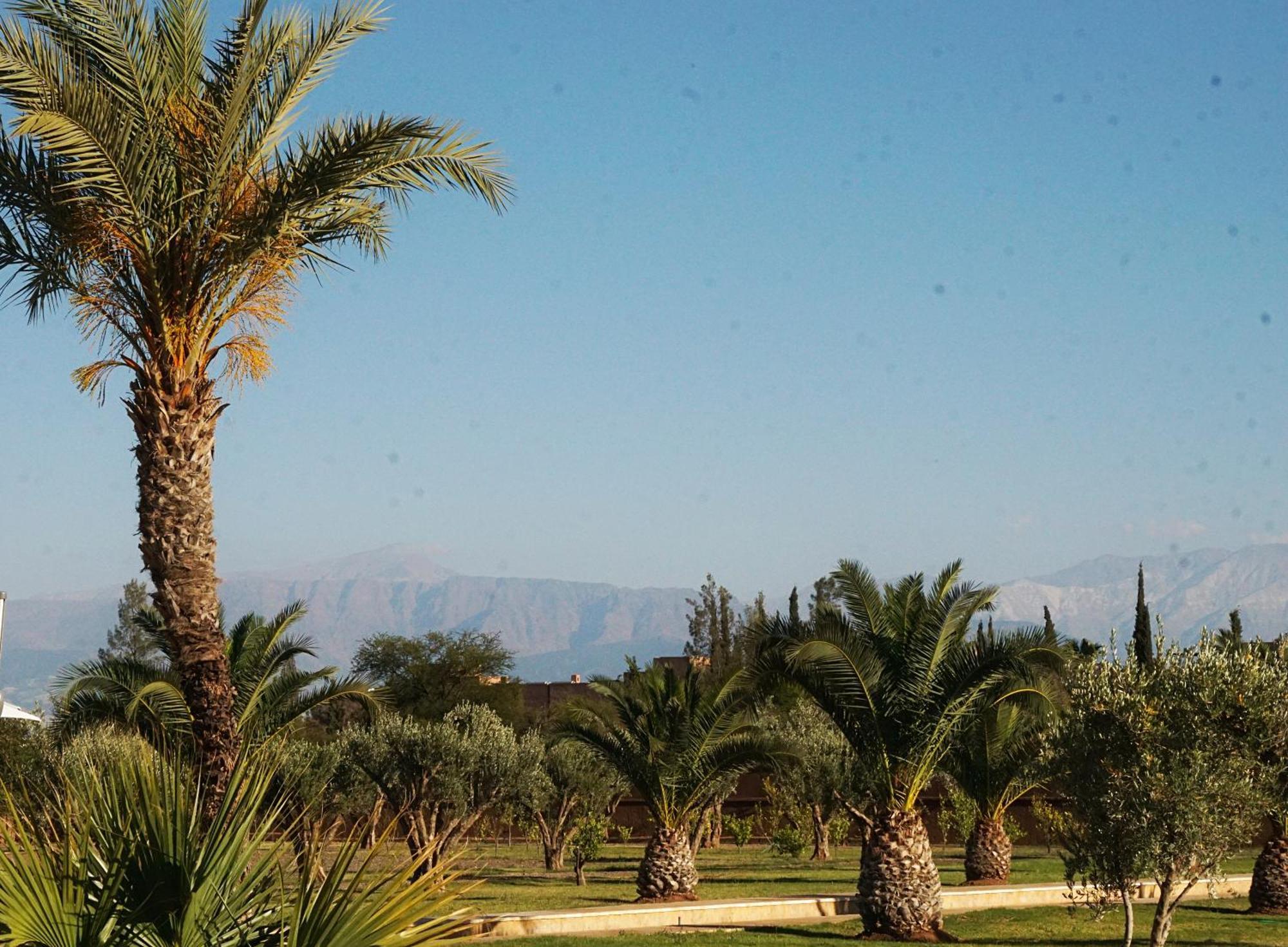 Palais Les Orchidees Villa