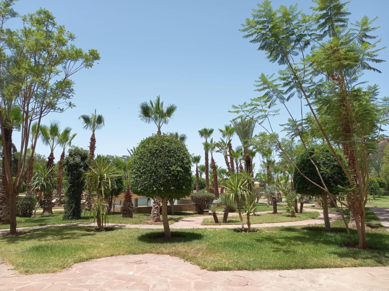 Appartamento Marrakech M Avenue Terrasse Jardin