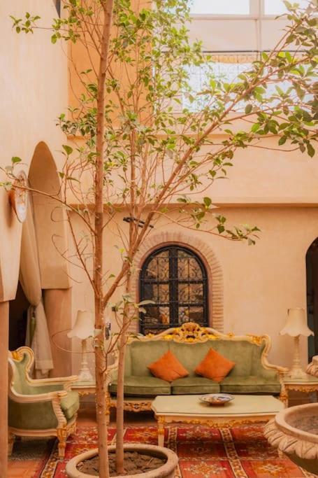 Mayo & - A Private 5 Hectare Space