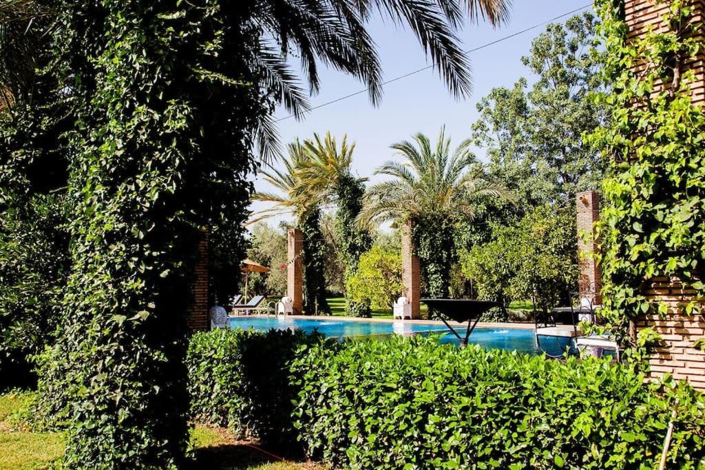 Mayo & - A Private 5 Hectare Space *
