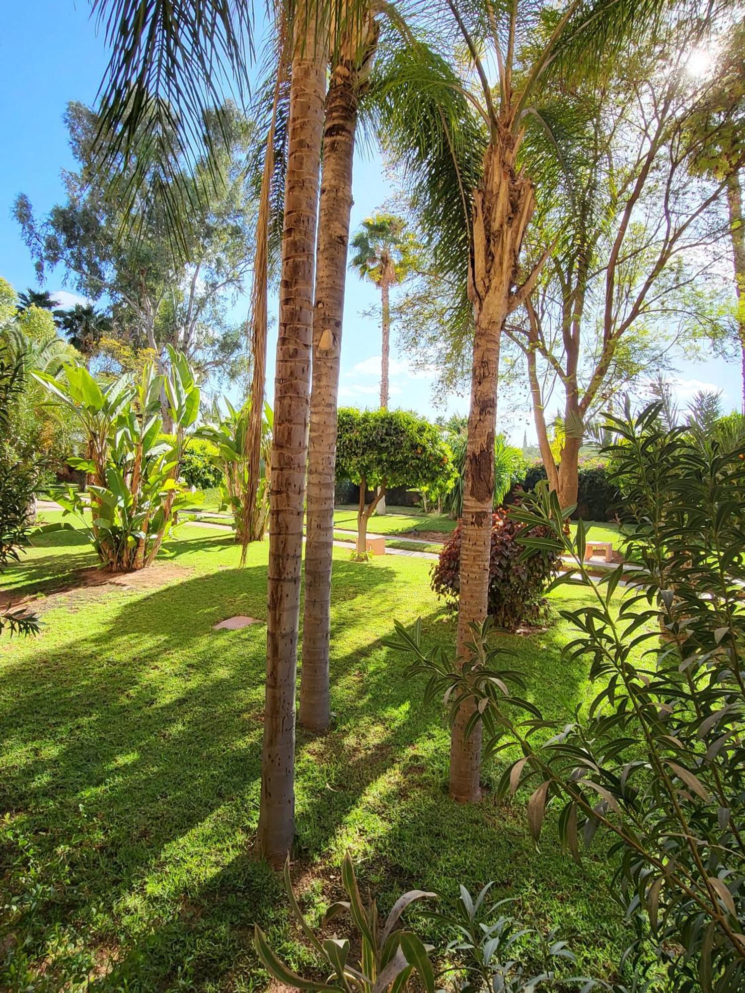 Oxygene Apartamento Marrakesh