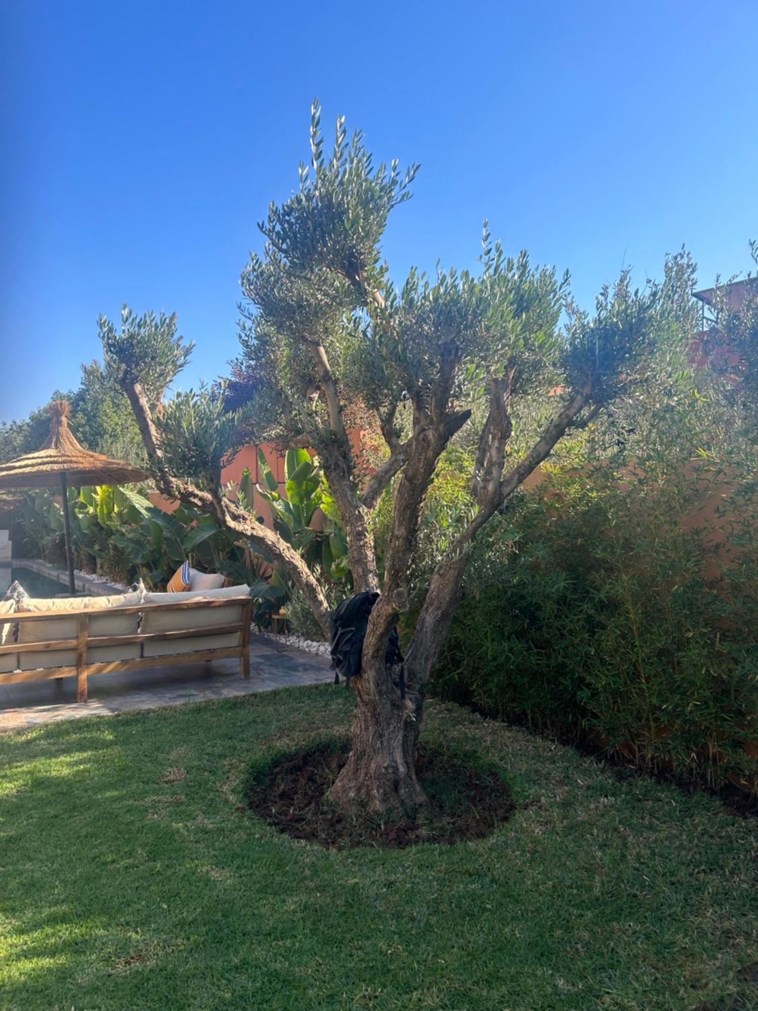 Amelkis Villa Marrakesh