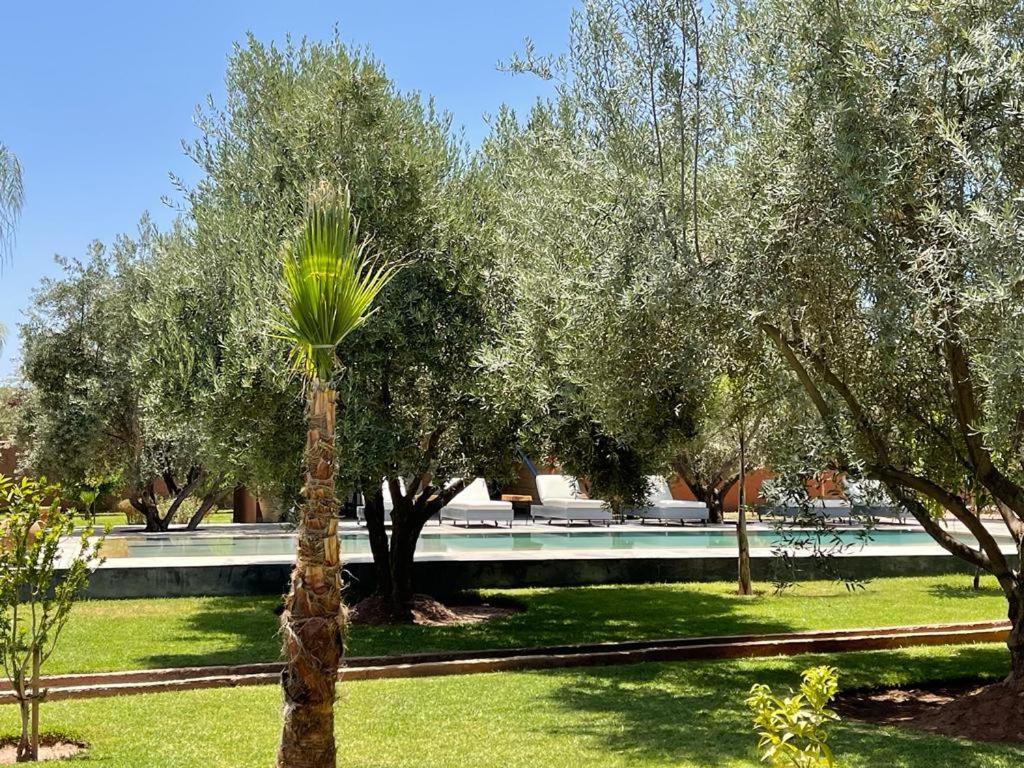 Daya Zitoun Glamping