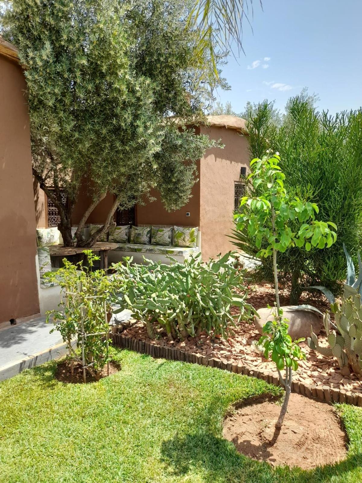 Daya Zitoun Glamping *