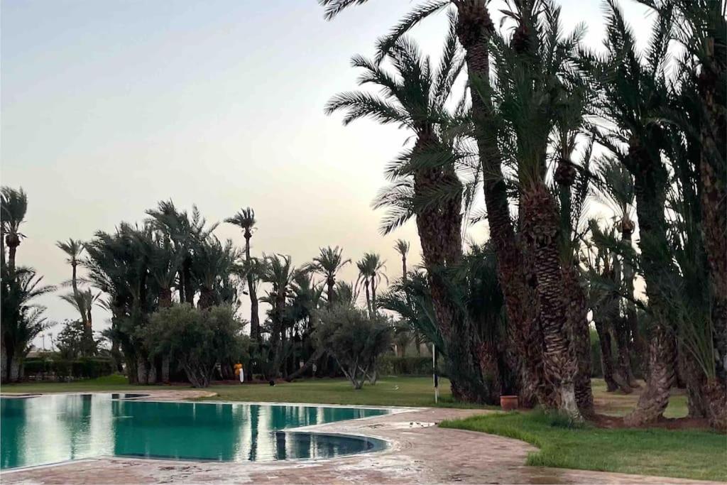 Apartment Appart-oasis/3 Piscines/2 Terrasses
