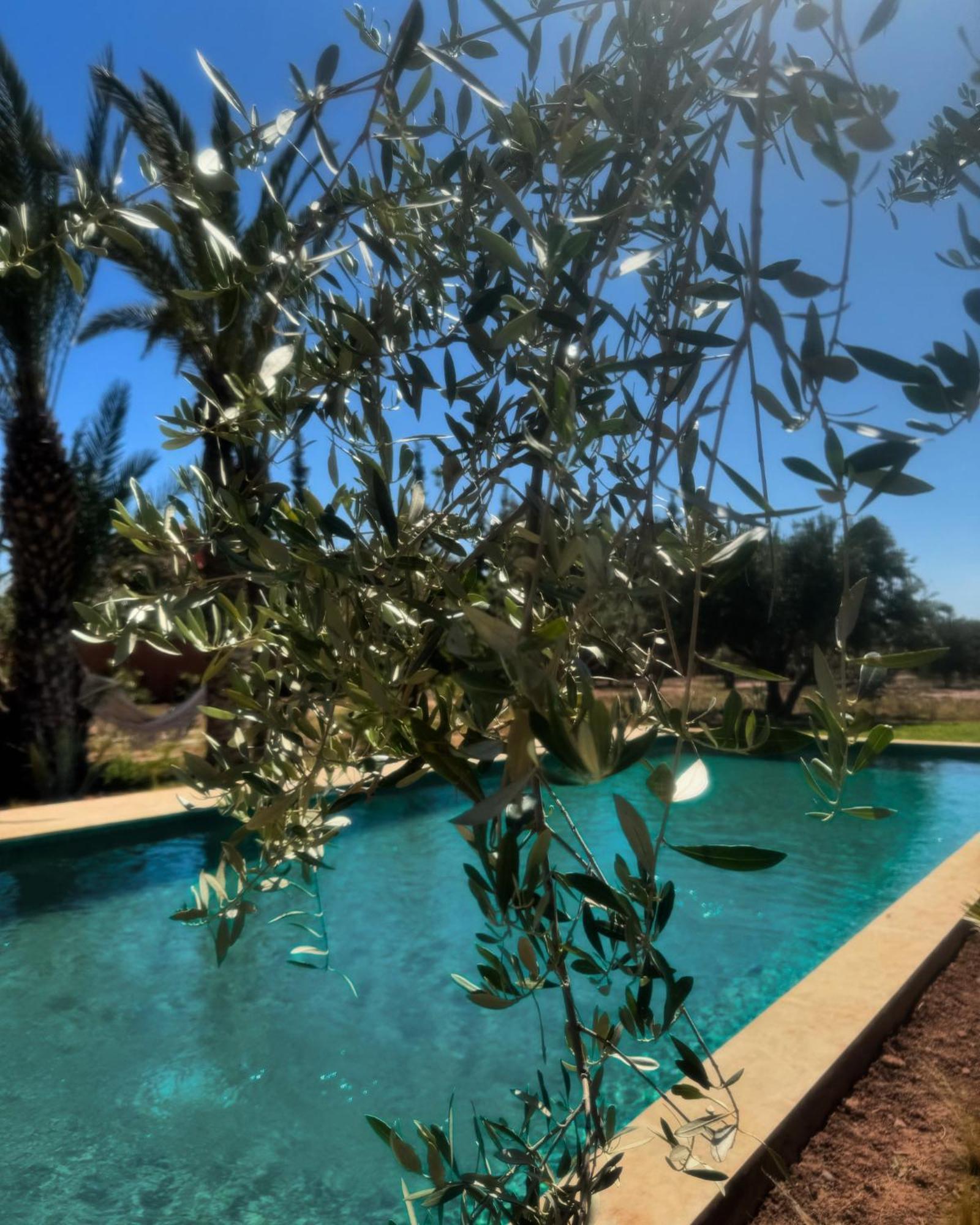 Villa Marrakech Paradis Beldi