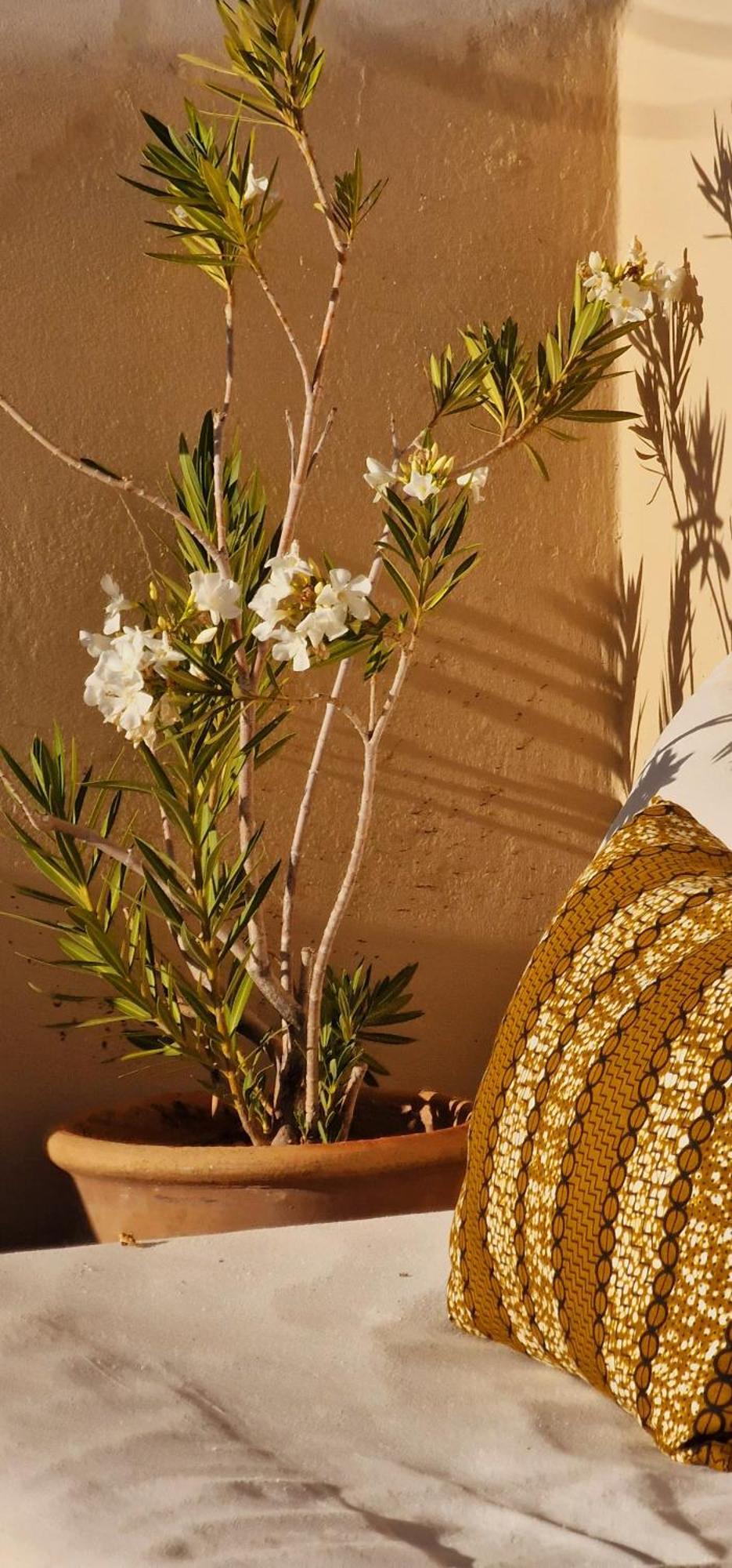 De Vincent Marrakesh