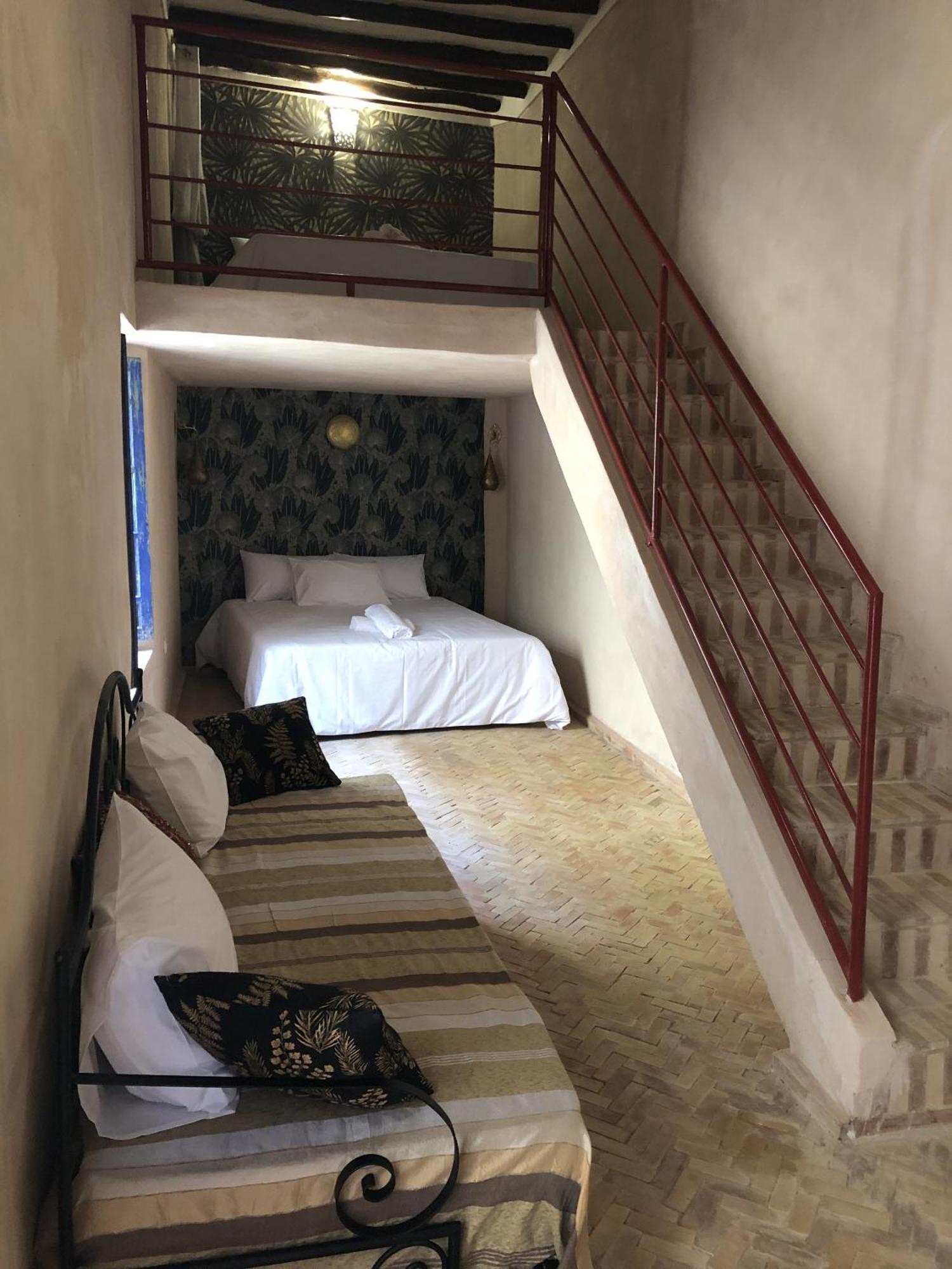 Paquerette Marrakesh