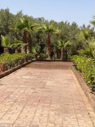 Villa4you Villa Marrakesh