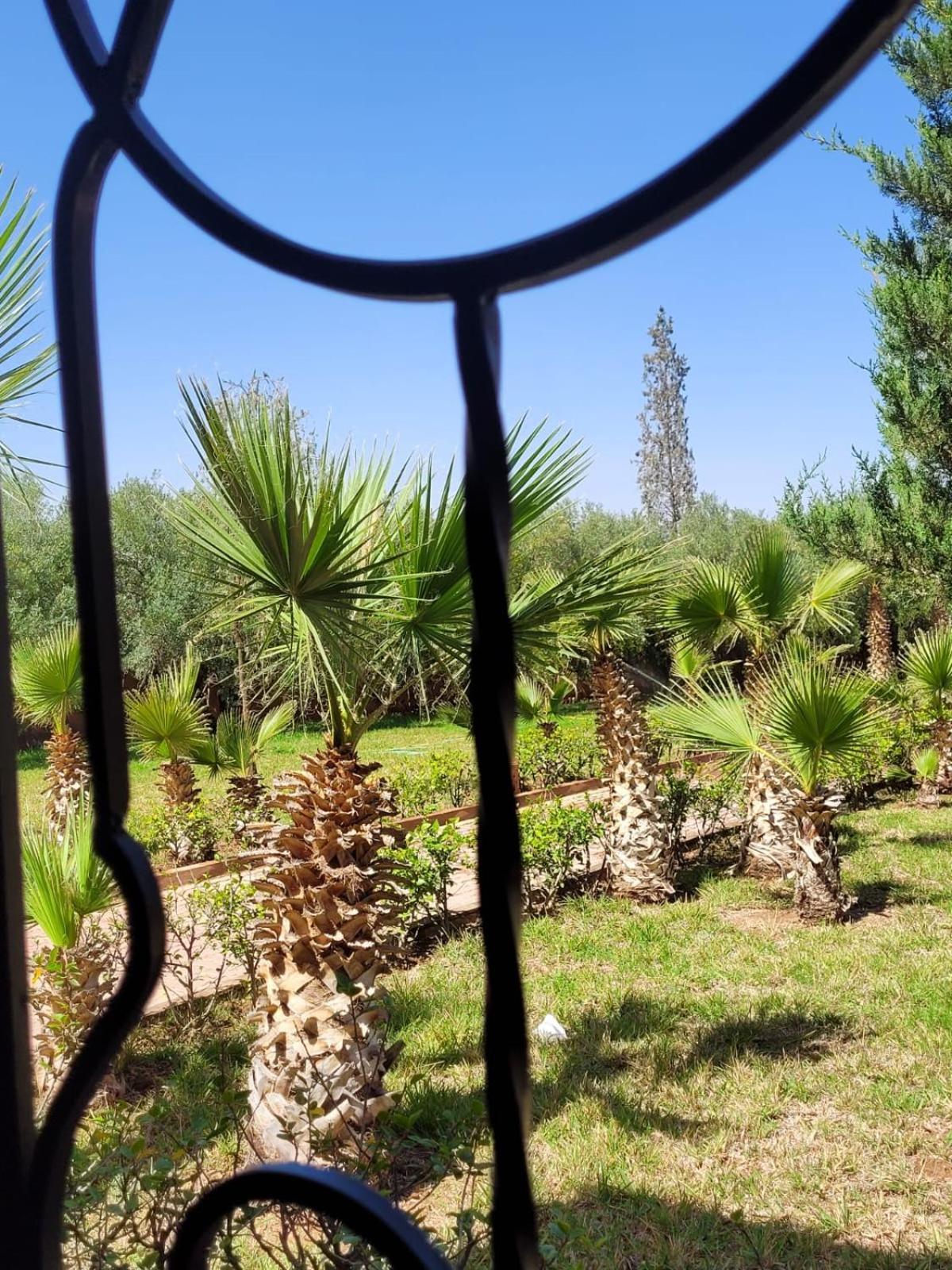 Villa4you Villa Marrakesh