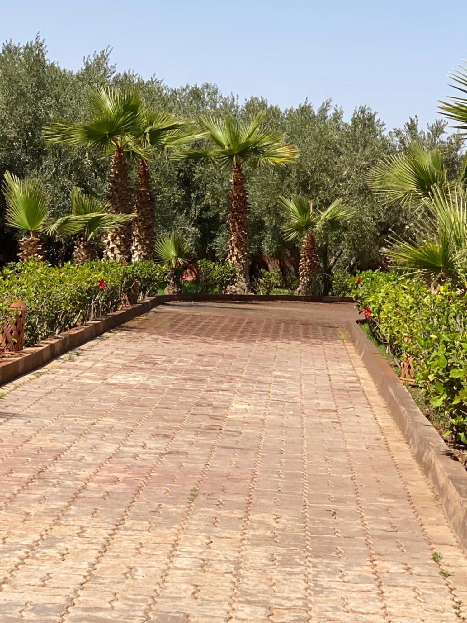 Villa4you Marrakesh
