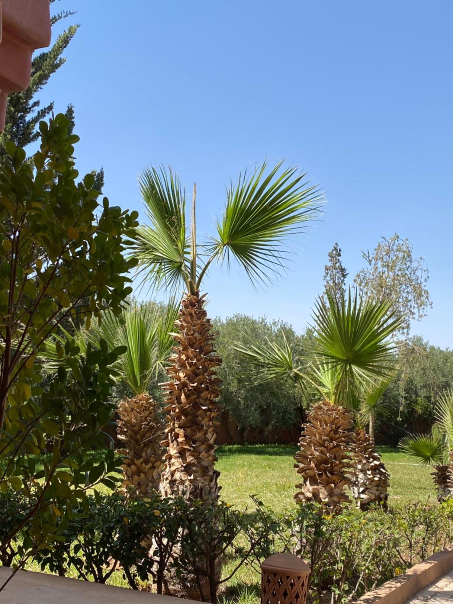 Villa4you Villa Marrakesh