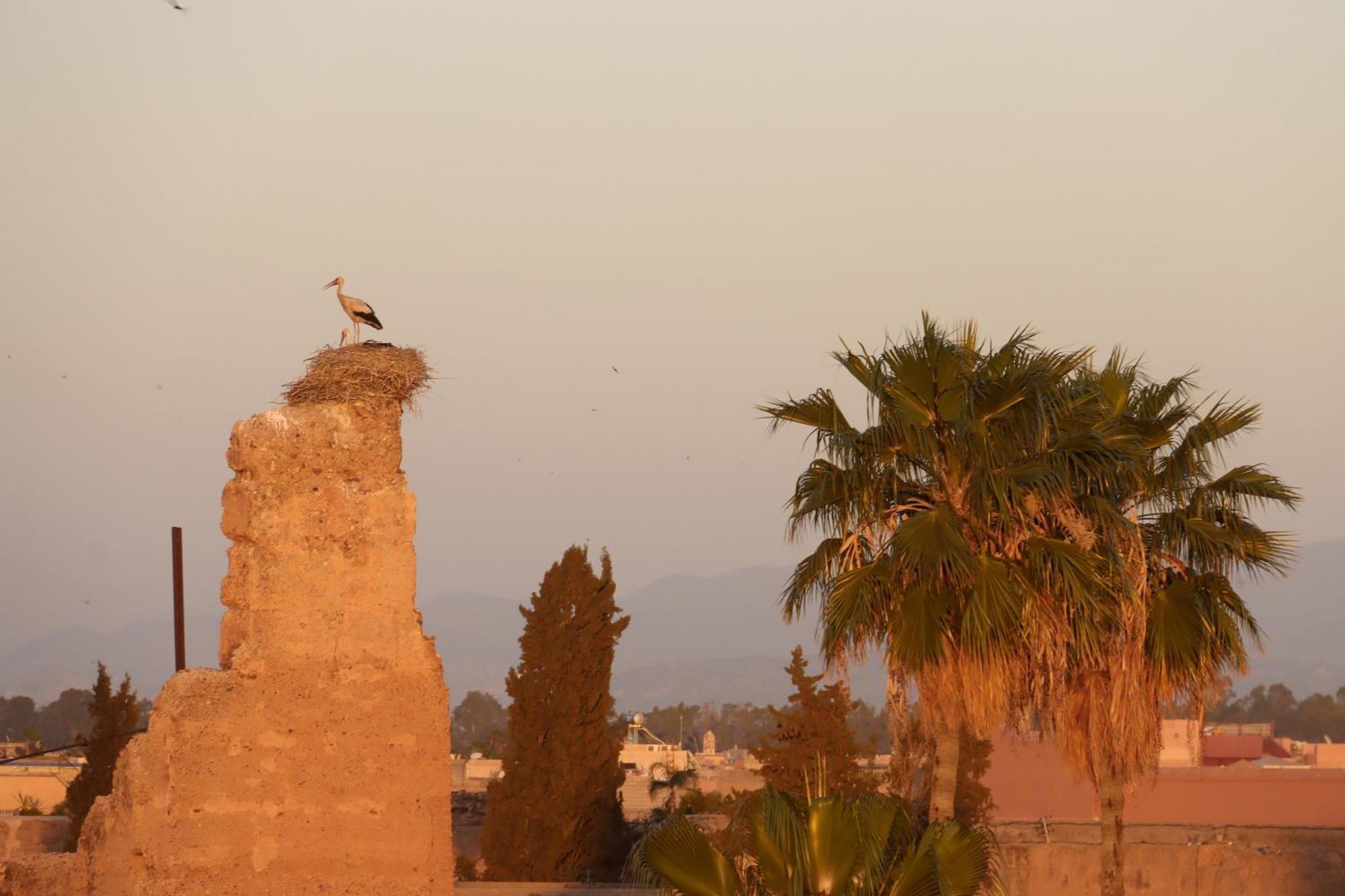 Bed and breakfast Luzia 4*