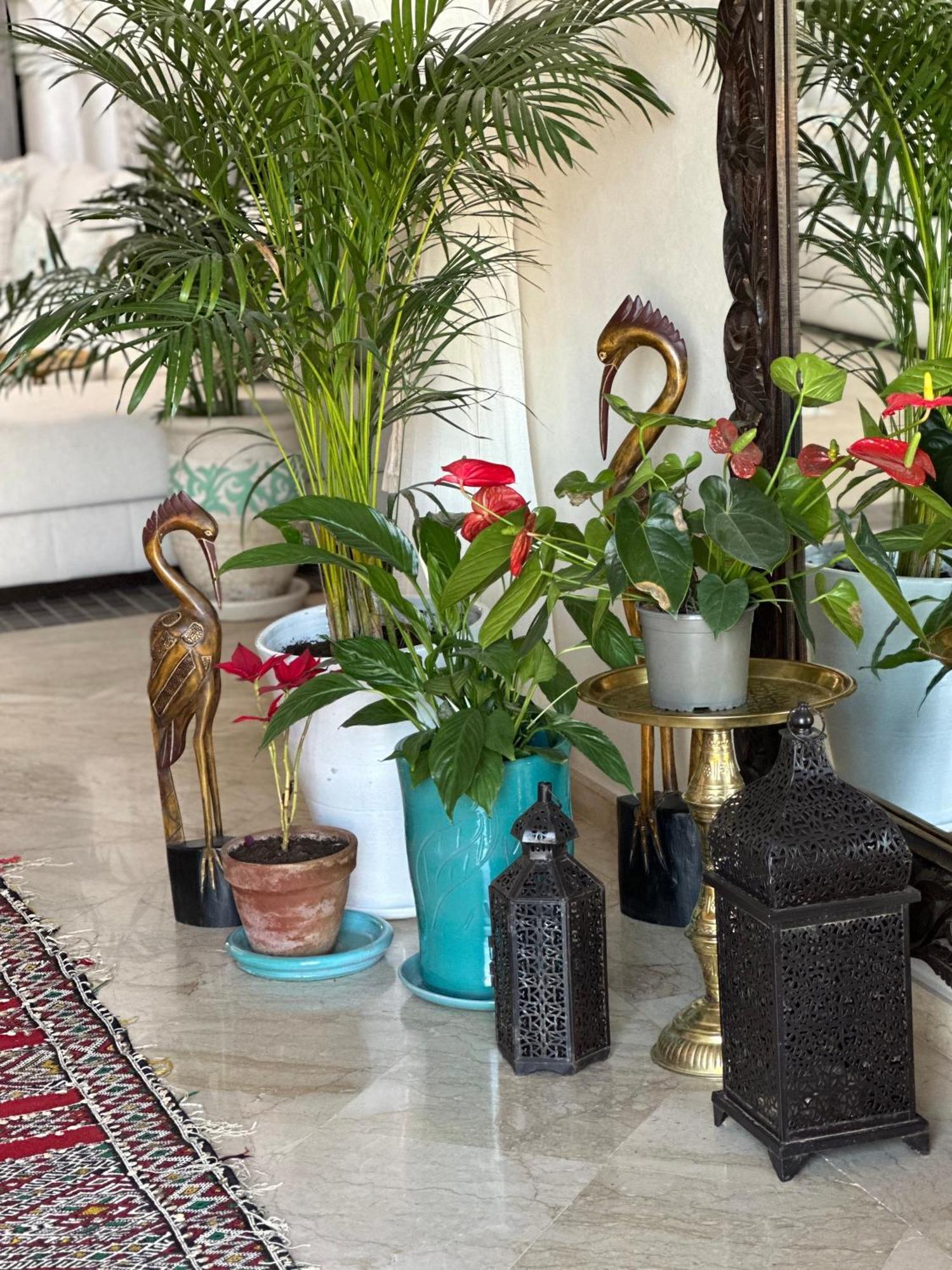 Boutique Carpe Diem Marrakech Marrakesh