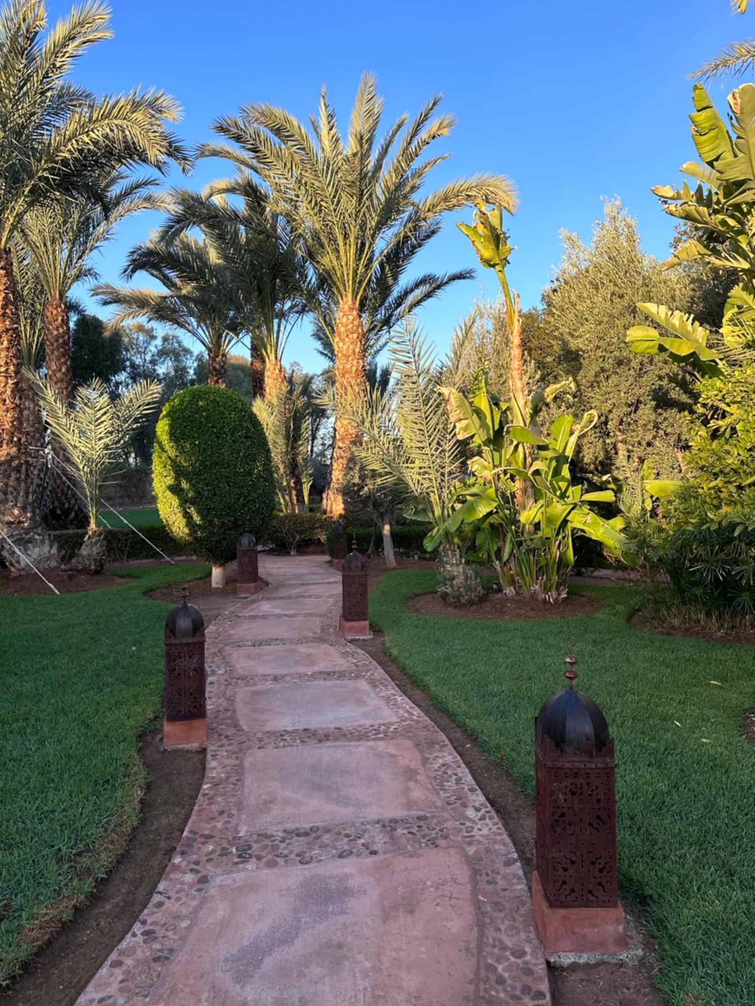 Boutique Carpe Diem Marrakech Villa *