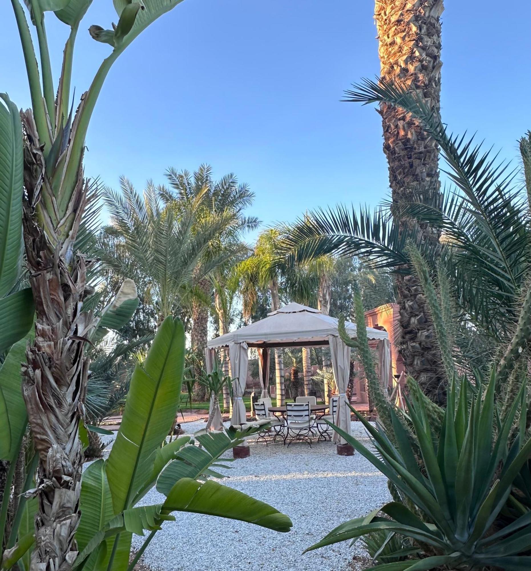 Villa Boutique Carpe Diem Marrakech *