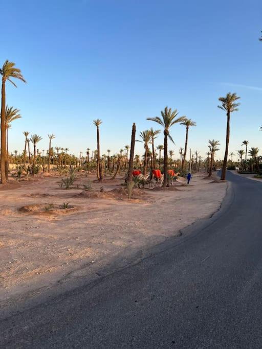 Vakantiehuis Dar El Najah N 98 Douar Ain Slim *