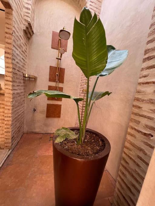 Villa Magnifique Prive 3 Chambres, Terrasse Sur Le Toit A Marrakech Au Coeur De La Medina